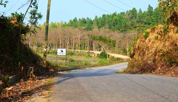 আতঙ্কের নাম বাইশারী-ঈদগড়-ঈদগা সড়ক