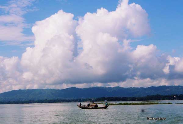 জলে ভাসা পদ্ম জীবন…..