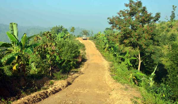 নেতার বাগানে যেতে দুই কোটি টাকার সরকারি রাস্তা !