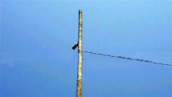 বিজিবি’র কৌশলের কাছে হেরেছে মিয়ানমার