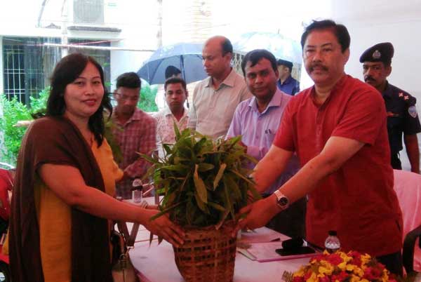 ১৩ হাজার মানুষকে ‘বাঁশ’ দিবে উন্নয়ন বোর্ড