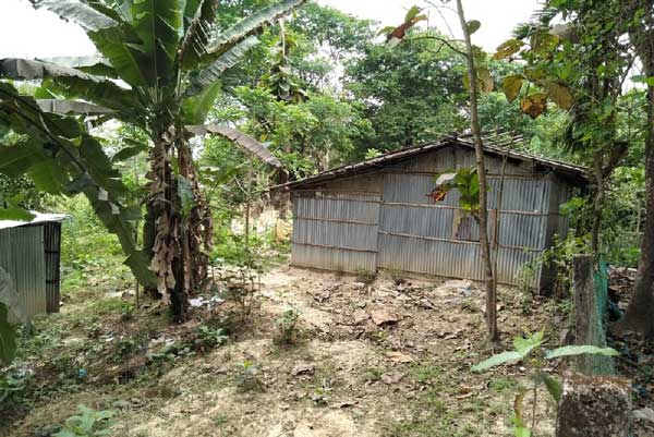 স্বাস্থ্য কমপ্লেক্সের জমি সহকারী স্বাস্থ্য পরিদর্শকের দখলে!