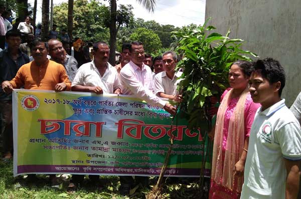 মানিকছড়িতে প্রান্তিক চাষীদের মাঝে চারা বিতরণ