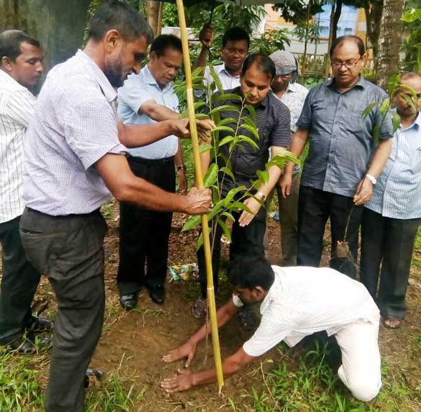 মুক্তিযুদ্ধে শহীদদের স্মরণে বান্দরবানে বৃক্ষরোপন কর্মসূচী