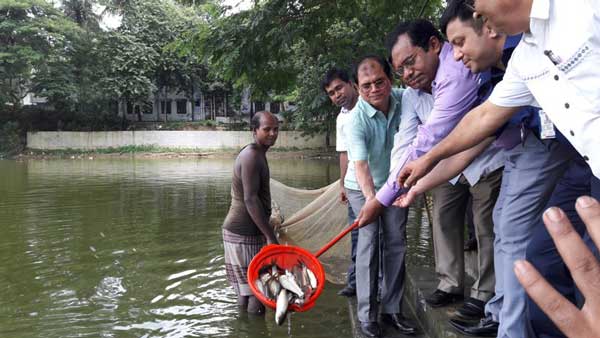 বান্দরবানে জাতীয় মৎস্য সপ্তাহ শুরু