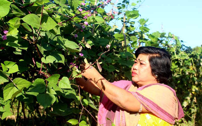 একজন জনপ্রতিনিধির সফলতার গল্প