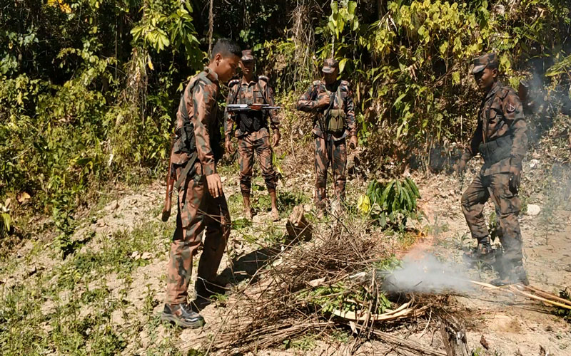 থানচিতে নিষিদ্ধ আফিম ক্ষেত ধংস করলো বিজিবি