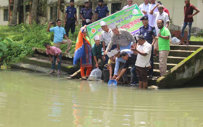 ‘মাছ চাষে গড়বো দেশ, বঙ্গবন্ধুর বাংলাদেশ’