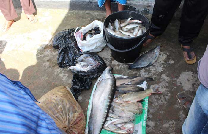 কাপ্তাই হ্রদে ৫৪ কেজি মাছসহ নৌকা-জাল জব্দ