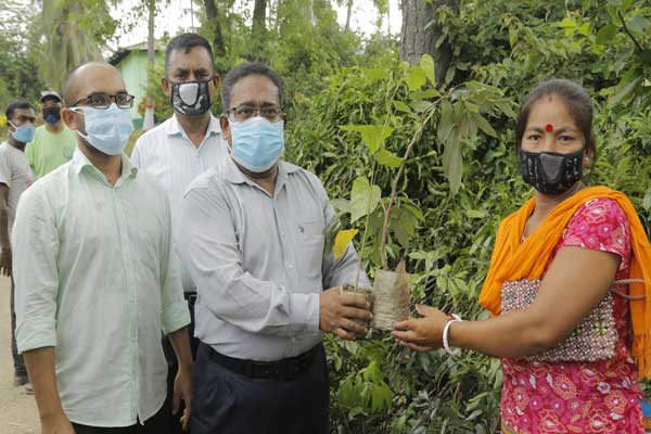 কৃষকদের ফলের চারা দিলো কৃষি বিভাগ