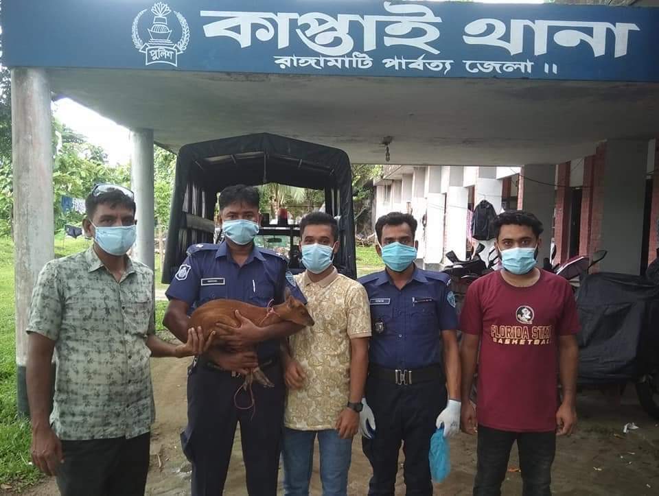 লোকালয়ে হরিণ শাবক,উদ্ধার করে ছাড়া হলো বনে
