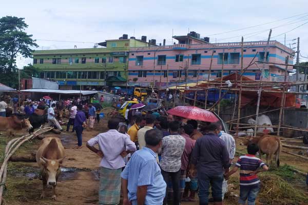 শেষ মুহুর্তে জমে উঠেছে রাঙামাটির কোরবানি পশুর হাট