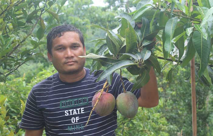 পাহাড় চূড়ায় হ্লাচিংমং চৌধুরীর স্বপ্নের বাগান