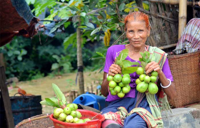 জীবন যেখানে যেমন