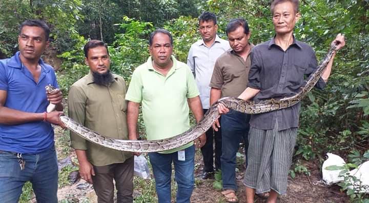 কাপ্তাইয়ে ফের অজগর অবমুক্ত