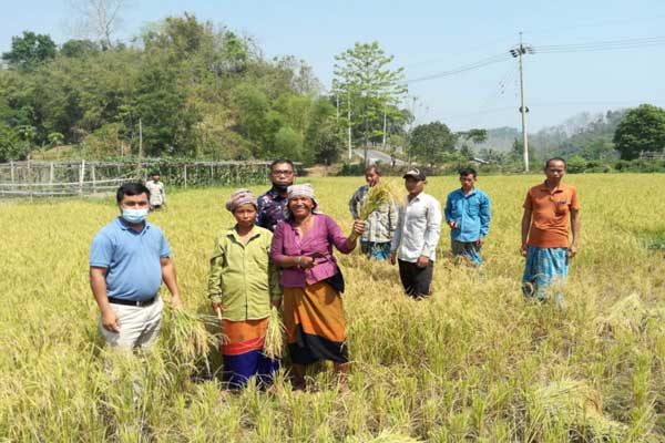 বোরোর আশার ফলনে কৃষকের হাসি