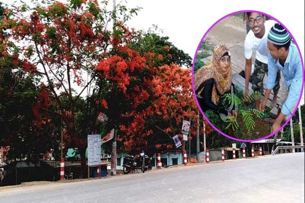 আগুনরঙা কৃষ্ণচূড়ায় সেজেছে মানিকছড়ি