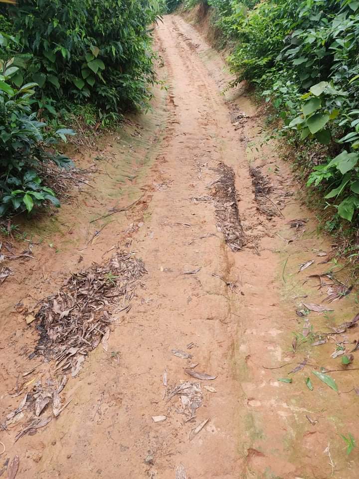 রামগড় ত্রিপুরা অধ্যুষিত এলাকার সড়কের বেহাল দশা