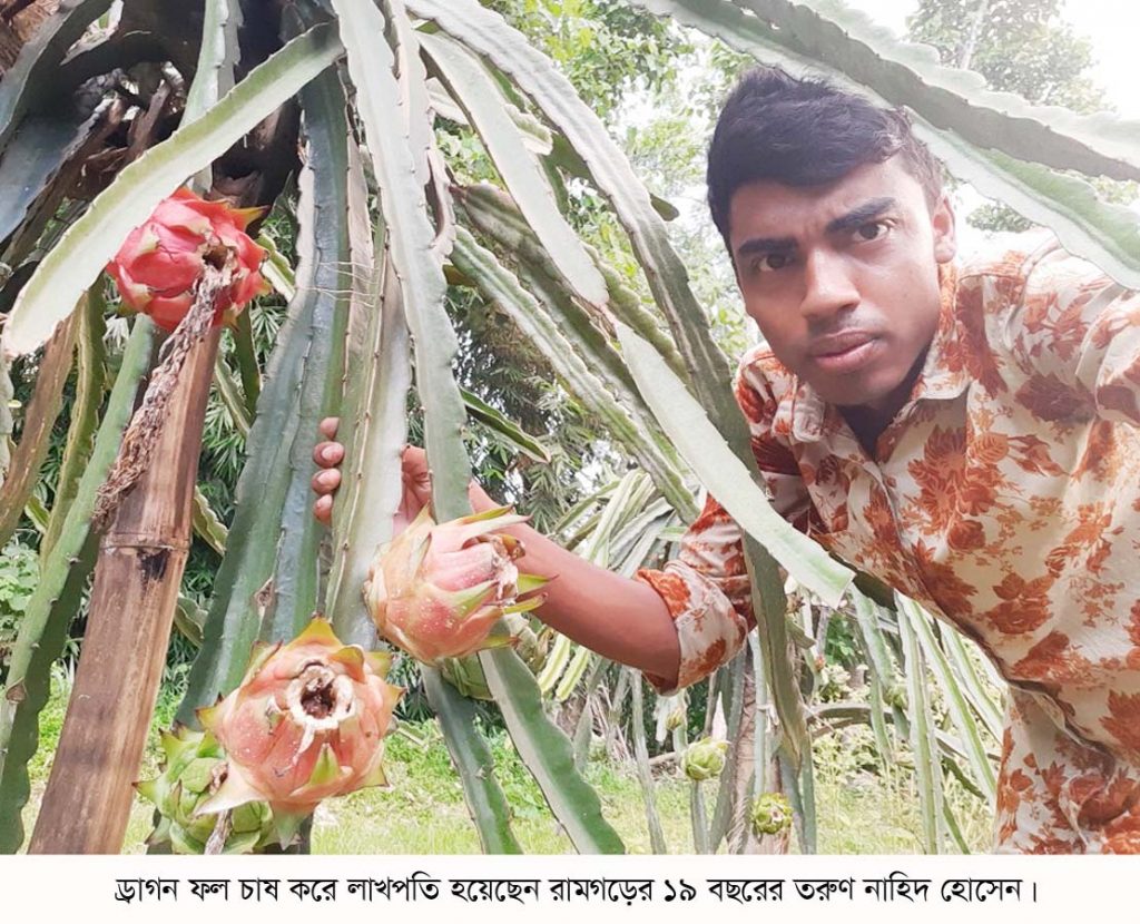 ড্রাগন ফল চাষে ১৯ বছরের তরুণ নাহিদ এখন লাখপতি