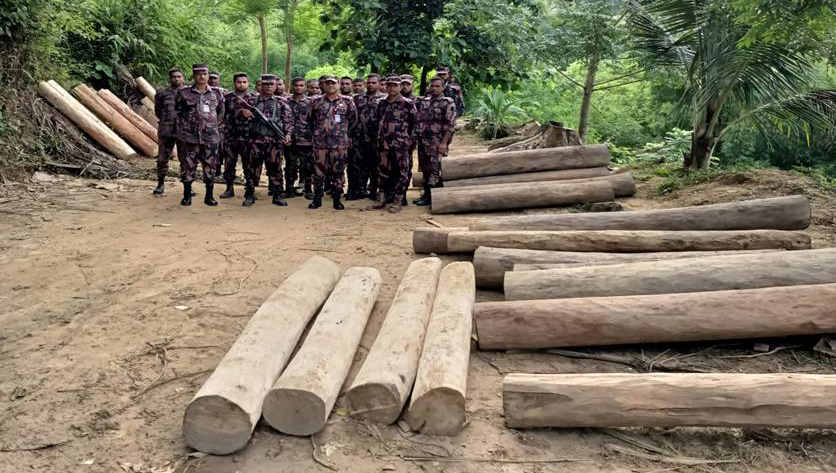 কাপ্তাইয়ে বিজিবির অভিযানে কাঠ উদ্ধার
