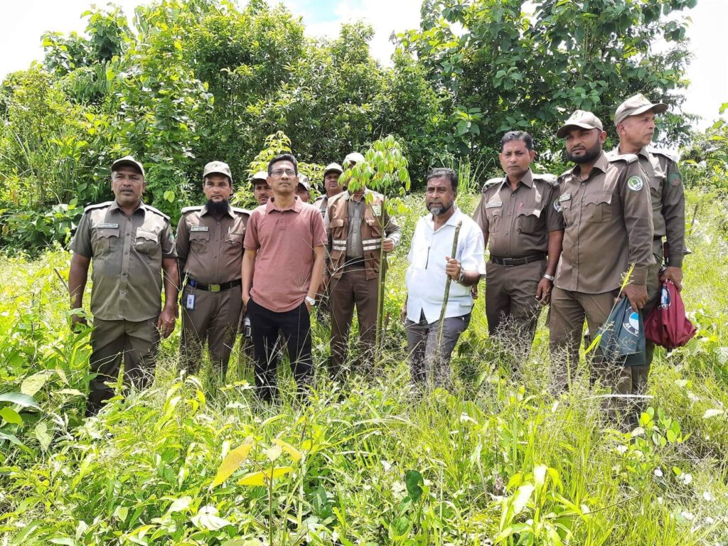 দেশীয় প্রজাতির বিলুপ্ত দেড় লাখ গাছের চারা রোপণ দক্ষিণ বন বিভাগের