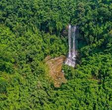 বিলাইছড়িতে কিশোরীর লাশ উদ্ধার