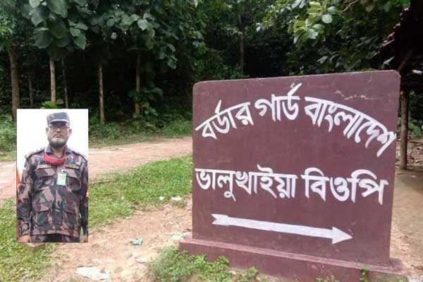 হাতির আক্রমণে বিজিবির নায়েক সুবেদার নিহত